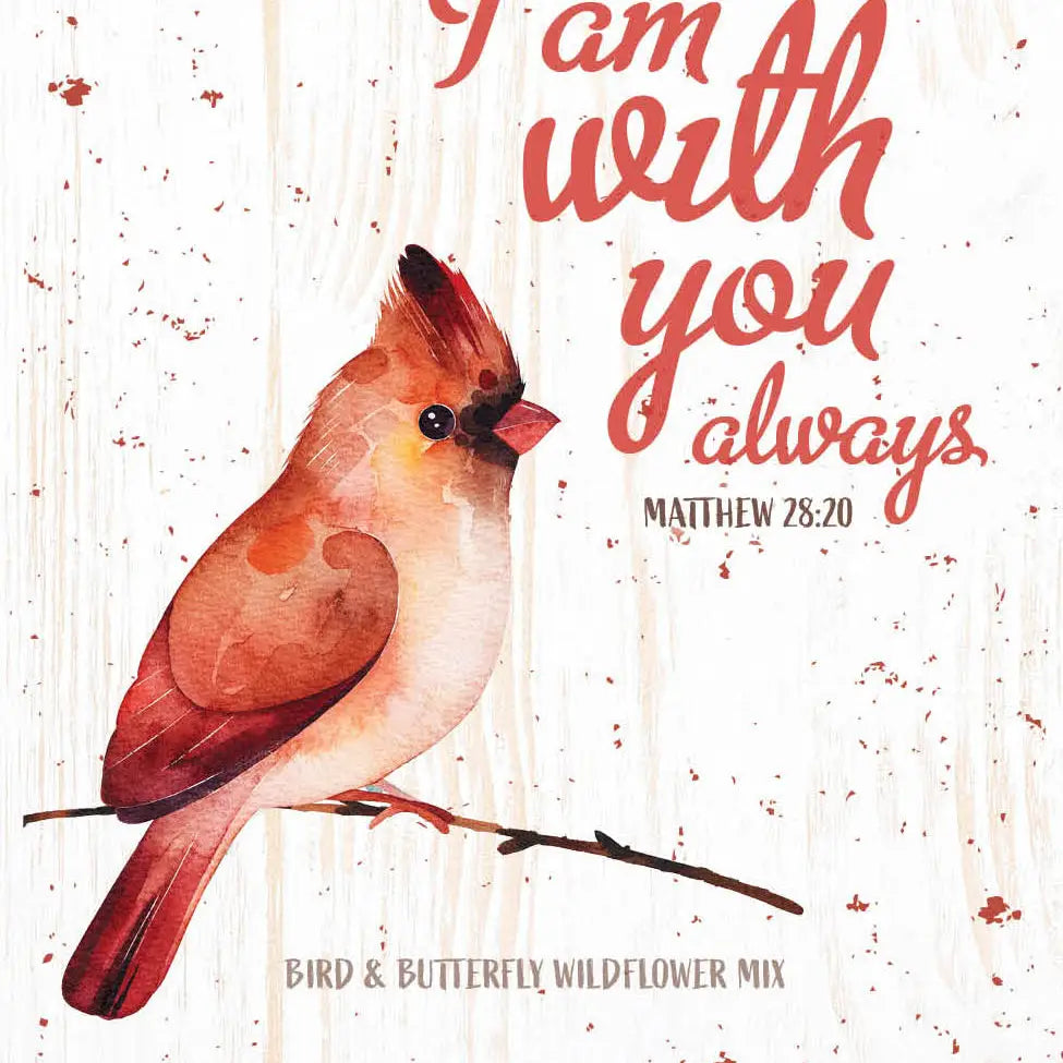 american seed wildflower blend bird and butterfly I Am With You Always Bird & Wildflower Mix – Monarch Boutique