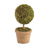 Mini Moss Covered Topiaries