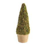 Mini Moss Covered Topiaries