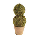 Mini Moss Covered Topiaries