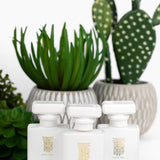 Thomas Blonde Eau Du Parfum 50 ml