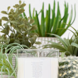 Thomas Blonde - Palm Desert Candle